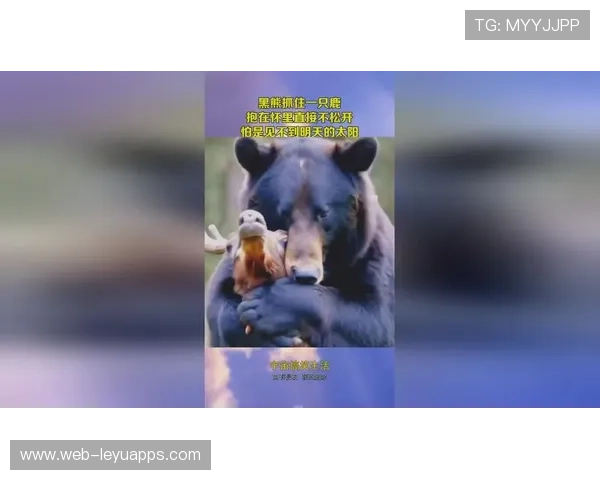 男孩机智装死,逃脱黑熊攻击,男孩智斗大黑熊 男孩机智装死,逃脱黑熊攻击,男孩智斗大黑熊