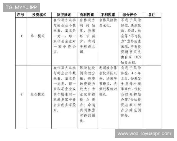 综合赛事商业合作与投资策略分析